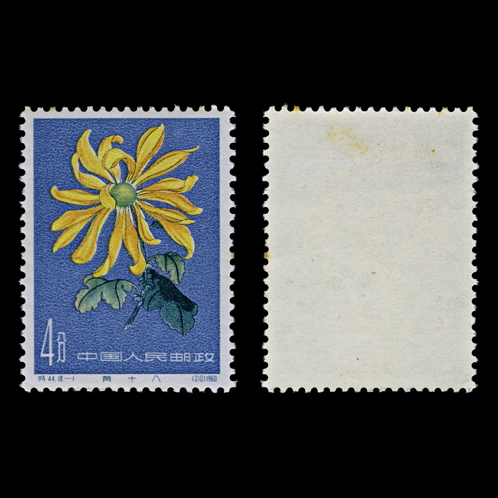 4434 China, People's Republic SG1947 4f Hwa ng Sh ih Pa Chrysanthemum. 1961. Sc#542 Mi583 MNH Mint. C£50
