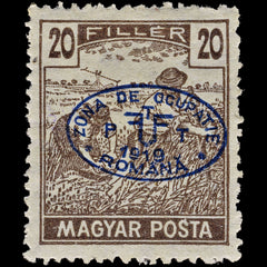 3855 Romanian Occ. of Debrecen Mi20, Sc# 2N11 SG16 1919 20f Brown. Blue Overprint. c£125, view 2