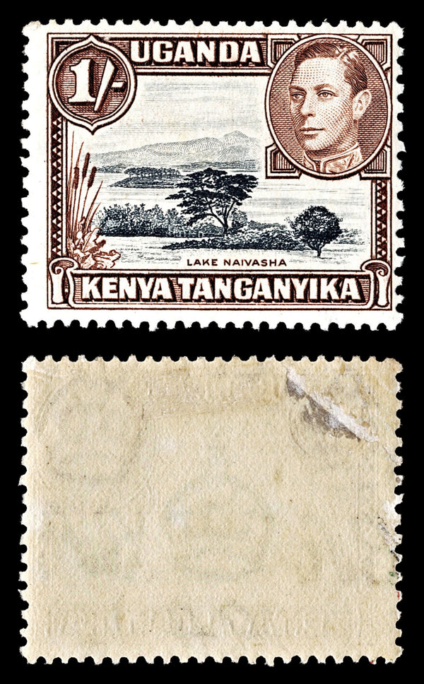 4010 KUT SG145 1s Black & Brown 1938. Sc#80 Mi66A MM Mint. C£40